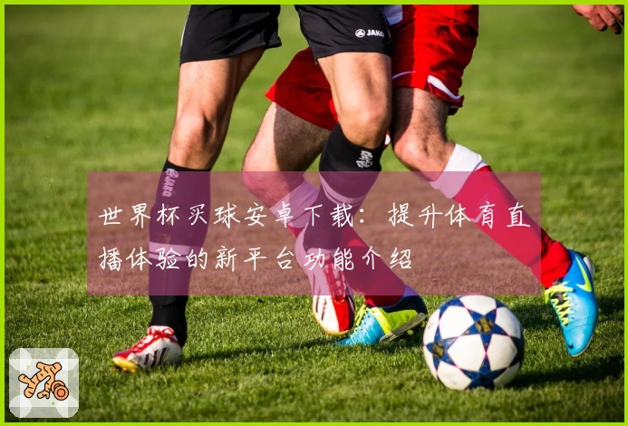 世界杯买球安卓下载:提升体育直播体验的新平台功能介绍