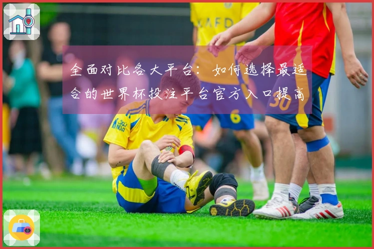 全面对比各大平台：如何选择最适合的世界杯投注平台官方入口提高观赛体验