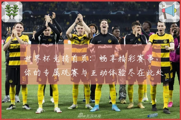 世界杯竞猜首页:畅享精彩赛事,你的专属观赛与互动体验尽在此处
