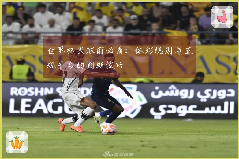 世界杯买球前必看：体彩规则与正规平台的判断技巧