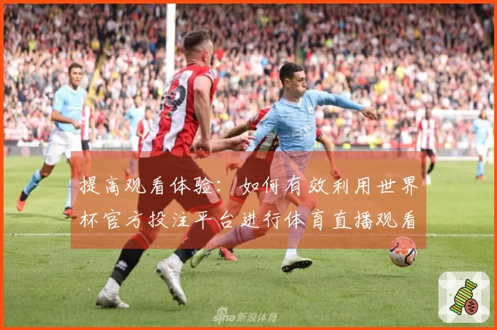 提高观看体验:如何有效利用世界杯官方投注平台进行体育直播观看
