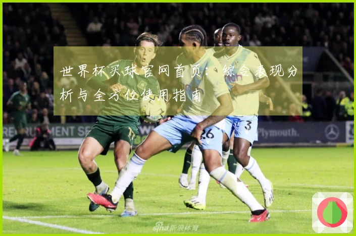 世界杯买球官网首页：综合表现分析与全方位使用指南