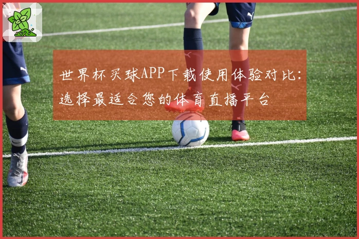 世界杯买球APP下载使用体验对比:选择最适合您的体育直播平台