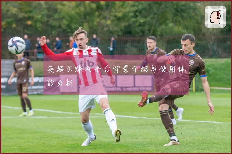 英超买球网平台背景介绍与使用体验分析