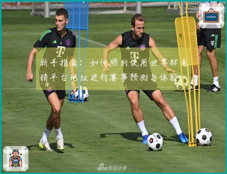 新手指南：如何顺利使用世界杯竞猜平台地址进行赛事预测与体验