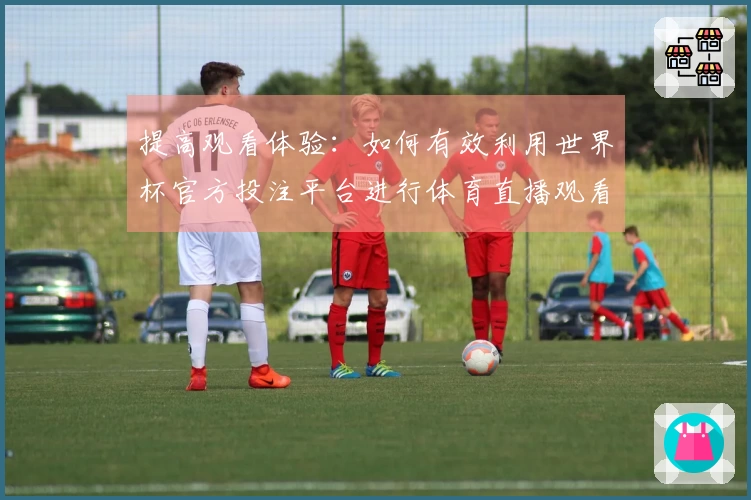提高观看体验：如何有效利用世界杯官方投注平台进行体育直播观看